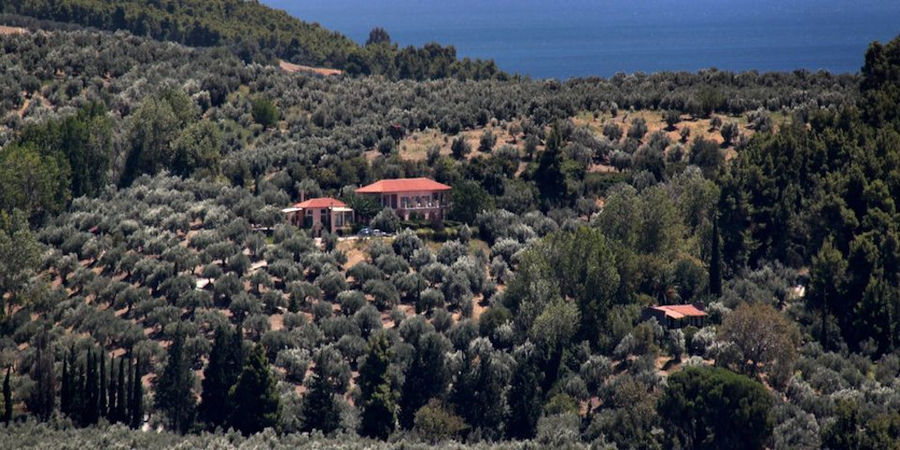'Eleonas' resort from far surrounded by trees with the sea in the background